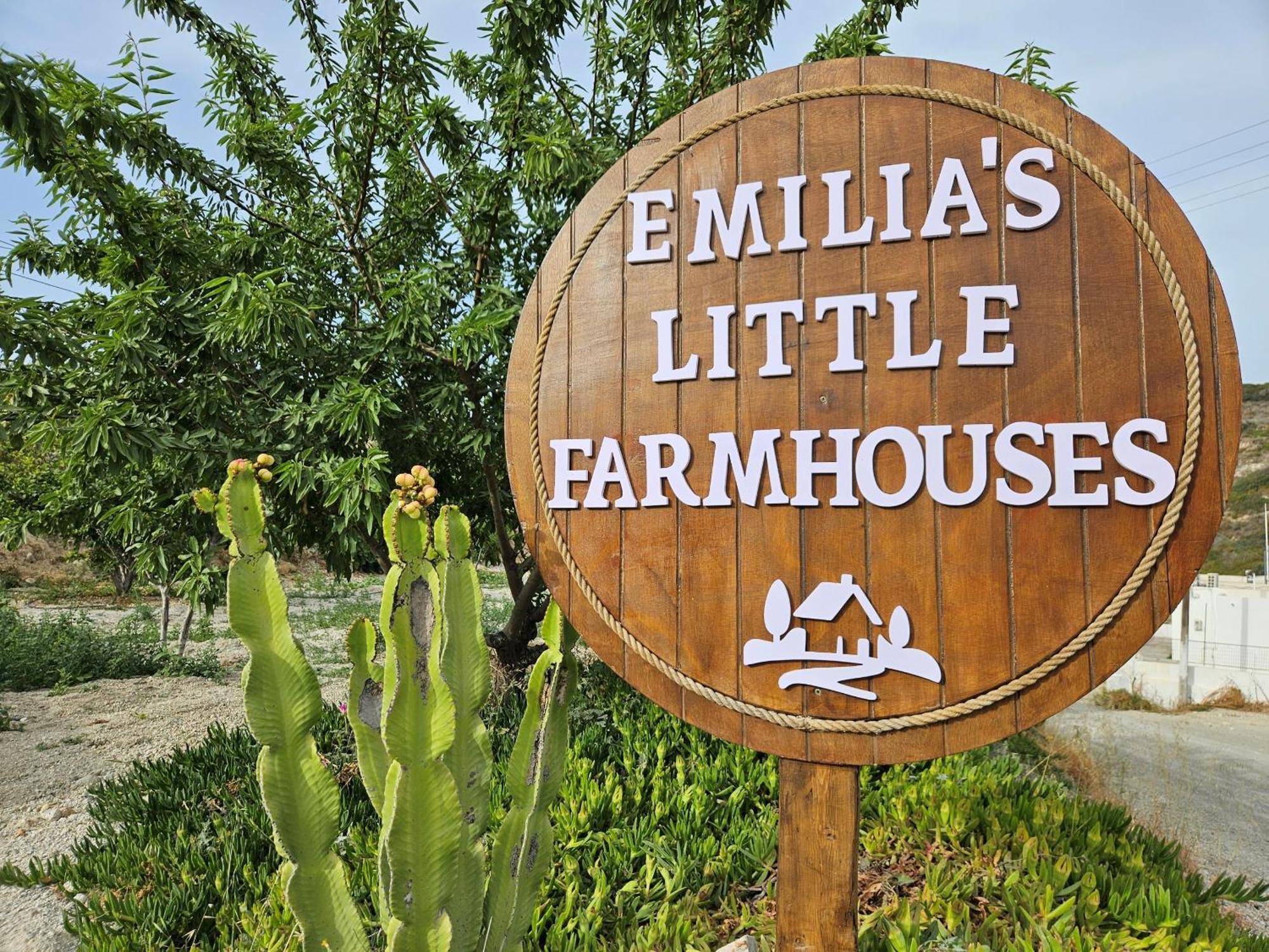 Emilia'S Little Farmhouses Agioi Anargyroi  Esterno foto